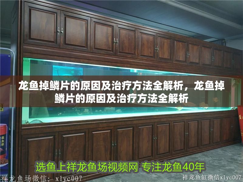 龍魚掉鱗片的原因及治療方法全解析，龍魚掉鱗片的原因及治療方法全解析