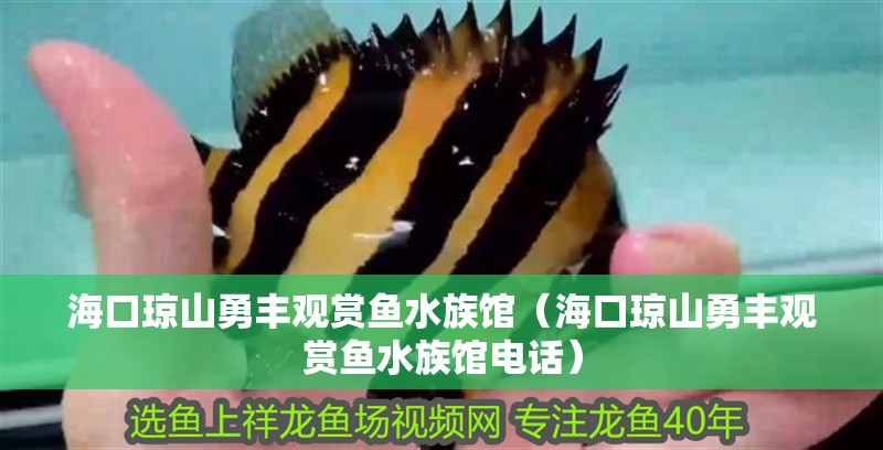 ?？诃偵接仑S觀賞魚水族館（?？诃偵接仑S觀賞魚水族館電話） ?？诃偵接仑S觀賞魚水族館（?？诃偵接仑S觀賞魚水族館電話） 全國水族館企業(yè)名錄 第2張