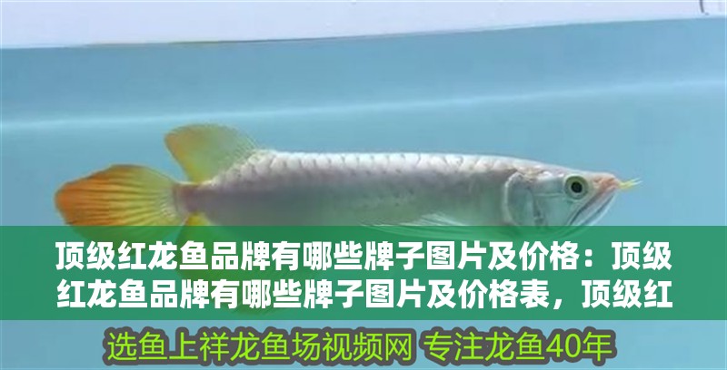 頂級紅龍魚品牌有哪些牌子圖片及價格：頂級紅龍魚品牌有哪些牌子圖片及價格表，頂級紅龍魚品牌、圖片與價格