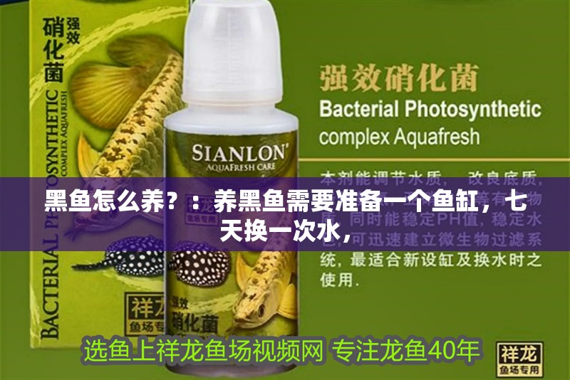 黑魚怎么養(yǎng)？：養(yǎng)黑魚需要準備一個魚缸，七天換一次水，