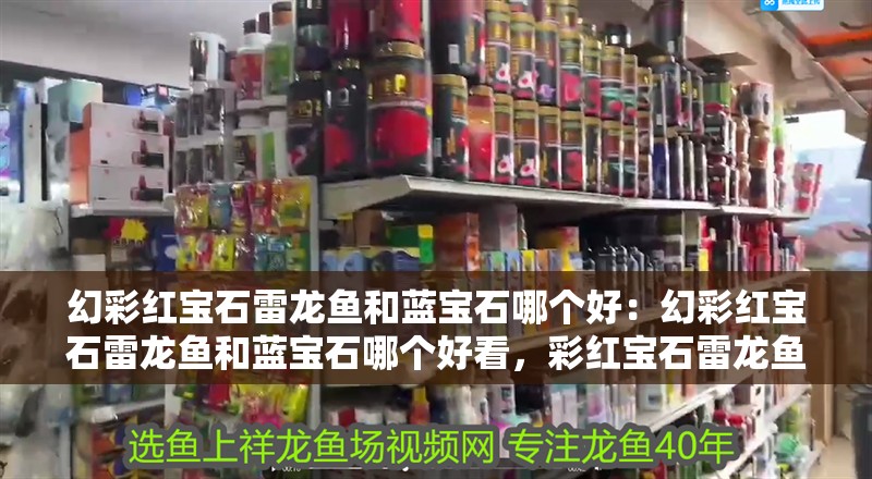 幻彩紅寶石雷龍魚和藍寶石哪個好：幻彩紅寶石雷龍魚和藍寶石哪個好看，彩紅寶石雷龍魚VS藍寶石，