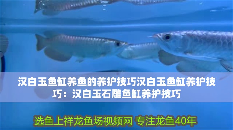 漢白玉魚缸養魚的養護技巧漢白玉魚缸養護技巧：漢白玉石雕魚缸養護技巧