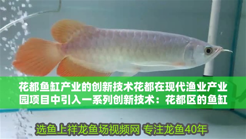 花都魚缸產業的創新技術花都在現代漁業產業園項目中引入一系列創新技術：花都區的魚缸工廠