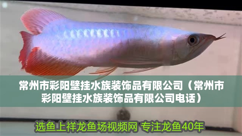 常州市彩陽(yáng)壁掛水族裝飾品有限公司（常州市彩陽(yáng)壁掛水族裝飾品有限公司電話）