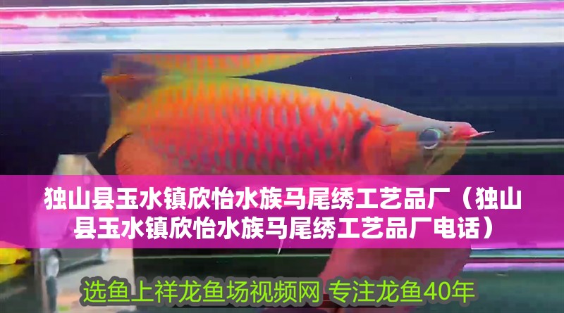 獨(dú)山縣玉水鎮(zhèn)欣怡水族馬尾繡工藝品廠（獨(dú)山縣玉水鎮(zhèn)欣怡水族馬尾繡工藝品廠電話(huà)）