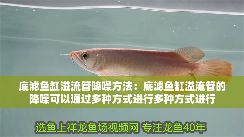 底濾魚缸溢流管降噪方法：底濾魚缸溢流管的降噪可以通過多種方式進(jìn)行多種方式進(jìn)行
