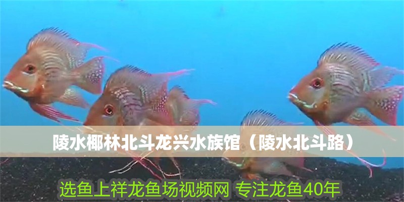 陵水椰林北斗龍興水族館（陵水北斗路） 陵水椰林北斗龍興水族館（陵水北斗路） 全國水族館企業名錄 第2張