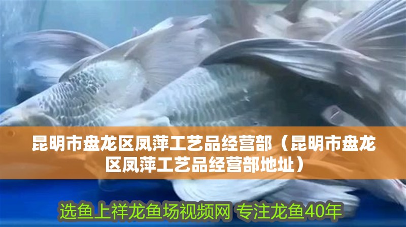 昆明市盤龍區鳳萍工藝品經營部（昆明市盤龍區鳳萍工藝品經營部地址）