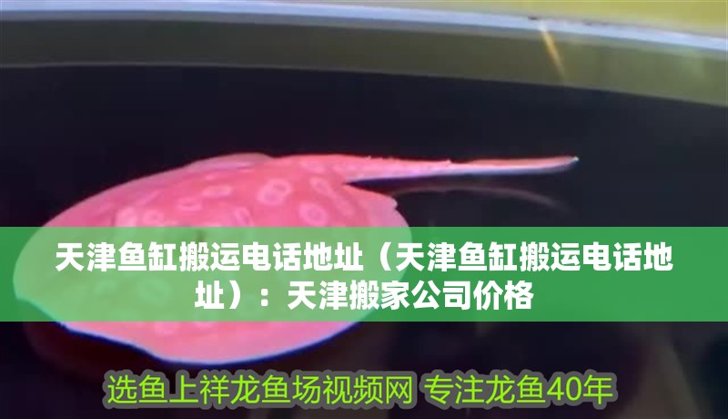 天津魚缸搬運電話地址（天津魚缸搬運電話地址）：天津搬家公司價格