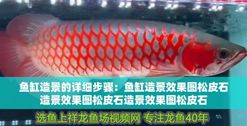 魚缸造景的詳細步驟：魚缸造景效果圖松皮石造景效果圖松皮石造景效果圖松皮石