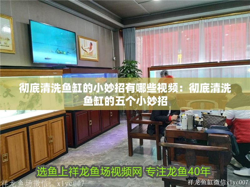 龍魚干蝦有營養嗎 徹底清洗魚缸的小妙招有哪些視頻:徹底清洗魚缸的五個小妙招 魚缸百科 徹底清洗魚缸的小妙招有哪些視頻:徹底清洗魚缸的五個小妙招 徹底清洗魚缸的小妙招有哪些視頻:徹底清洗魚缸的五個小妙招 魚缸百科