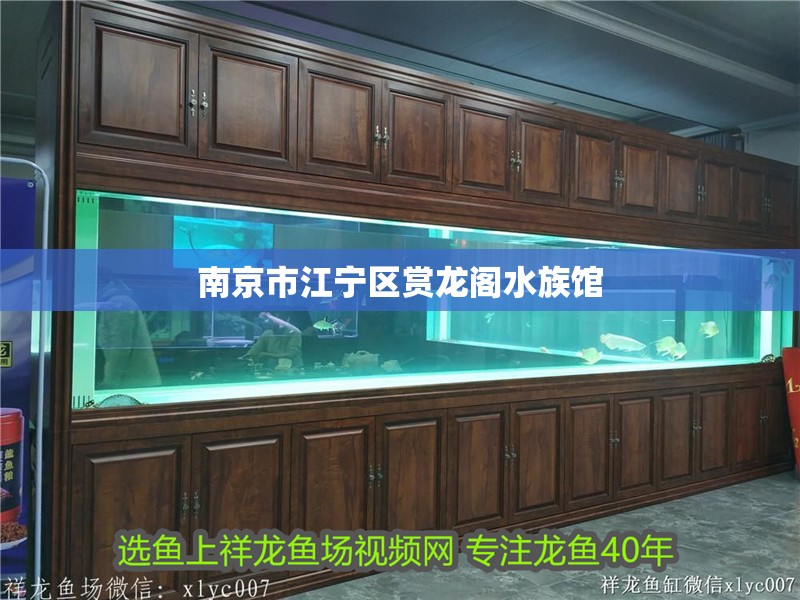南京市江寧區(qū)賞龍閣水族館