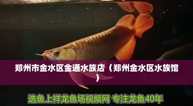 鄭州市金水區金通水族店（鄭州金水區水族館）
