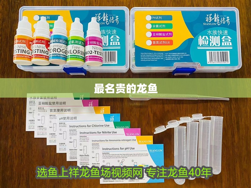 最名貴的龍魚 龍魚百科 最名貴的龍魚 最名貴的龍魚 龍魚百科