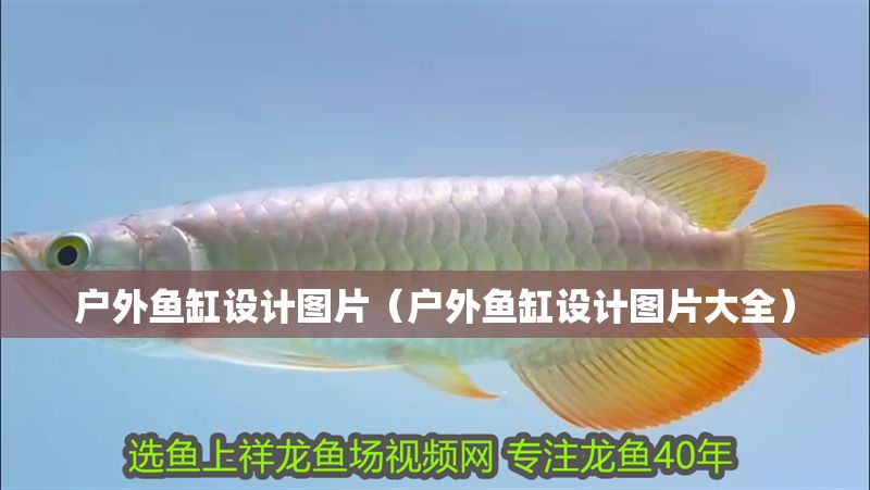 戶外魚缸設(shè)計圖片（戶外魚缸設(shè)計圖片大全）