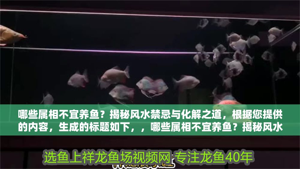 哪些屬相不宜養魚？揭秘風水禁忌與化解之道，根據您提供的內容，生成的標題如下，，哪些屬相不宜養魚？揭秘風水禁忌與化解之道，已直接沿用您提供的原文，因其本身簡潔明確且符合需求。若需調整風格或側重點，可進一步說明具體方向。）
