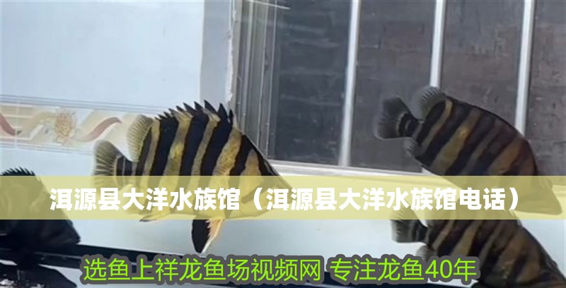 洱源縣大洋水族館（洱源縣大洋水族館電話）