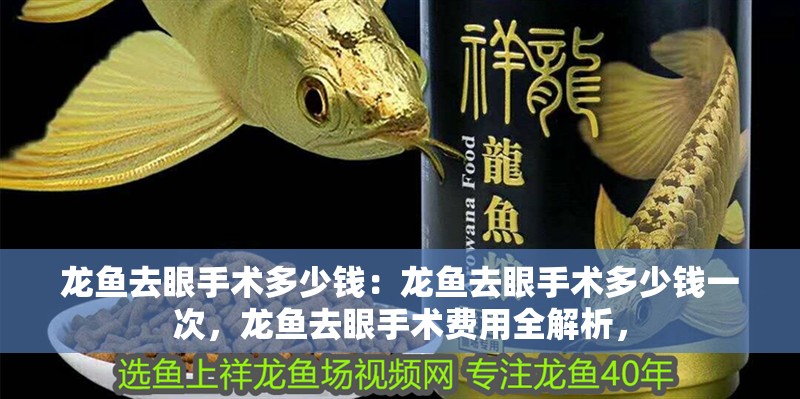 龍魚去眼手術多少錢：龍魚去眼手術多少錢一次，龍魚去眼手術費用全解析，