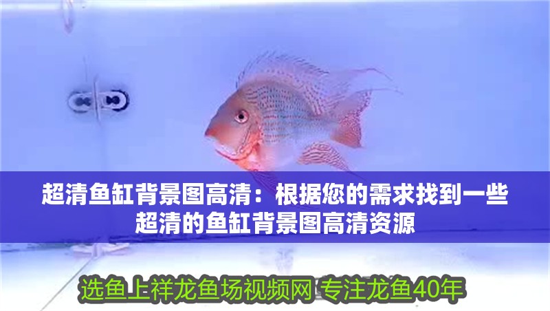 超清魚缸背景圖高清：根據您的需求找到一些超清的魚缸背景圖高清資源