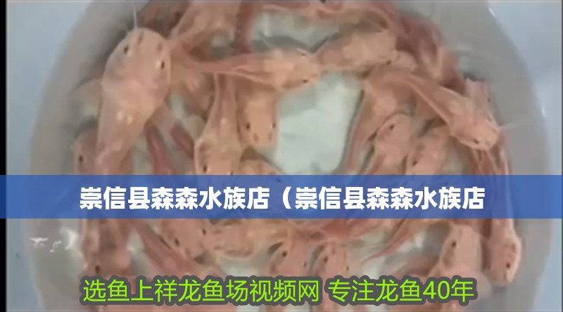 崇信縣森森水族店（崇信縣森森水族店