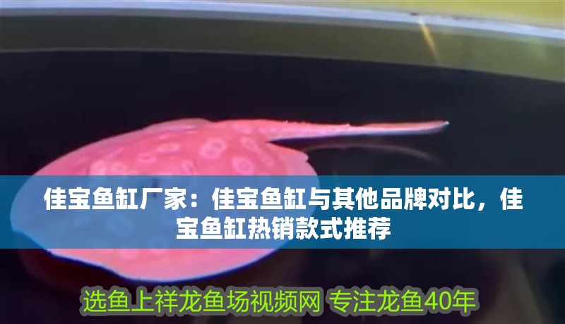 佳寶魚缸廠家：佳寶魚缸與其他品牌對比，佳寶魚缸熱銷款式推薦