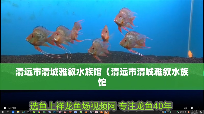 清遠(yuǎn)市清城雅敘水族館（清遠(yuǎn)市清城雅敘水族館