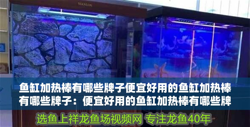 魚缸加熱棒有哪些牌子便宜好用的魚缸加熱棒有哪些牌子：便宜好用的魚缸加熱棒有哪些牌子