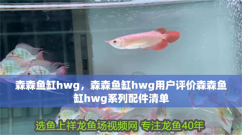森森魚缸hwg，森森魚缸hwg用戶評(píng)價(jià)森森魚缸hwg系列配件清單 森森魚缸hwg，森森魚缸hwg用戶評(píng)價(jià)森森魚缸hwg系列配件清單 魚缸百科 第2張
