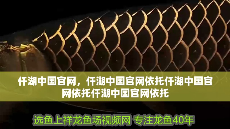 仟湖中國官網，仟湖中國官網依托仟湖中國官網依托仟湖中國官網依托