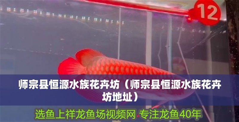 師宗縣恒源水族花卉坊(師宗縣恒源水族花卉坊地址) 全國水族館企業名錄 第2張 師宗縣恒源水族花卉坊(師宗縣恒源水族花卉坊地址) 師宗縣恒源水族花卉坊(師宗縣恒源水族花卉坊地址) 全國水族館企業名錄 第2張