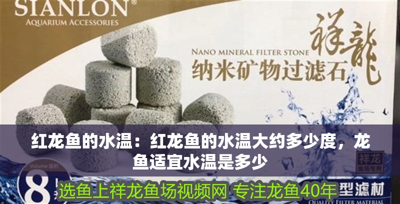 紅龍魚的水溫：紅龍魚的水溫大約多少度，龍魚適宜水溫是多少