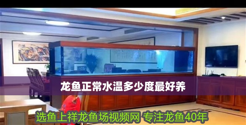 龍魚正常水溫多少度最好養