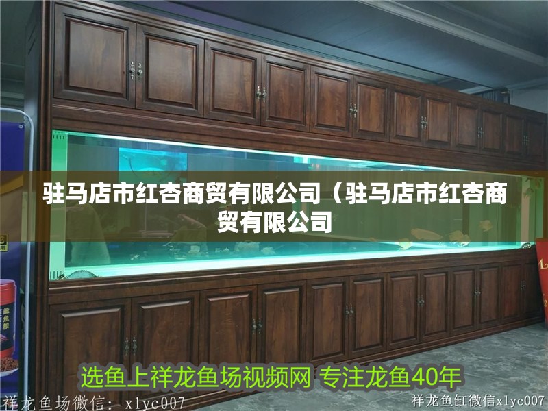 駐馬店市紅杏商貿(mào)有限公司（駐馬店市紅杏商貿(mào)有限公司