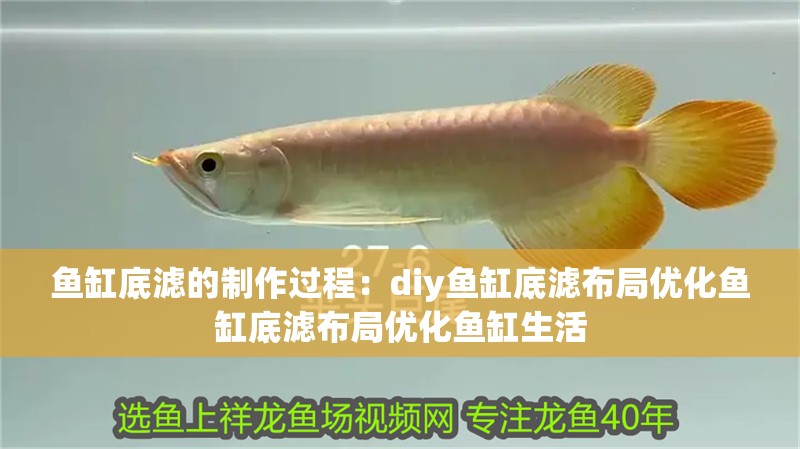 魚缸底濾的制作過程：diy魚缸底濾布局優化魚缸底濾布局優化魚缸生活