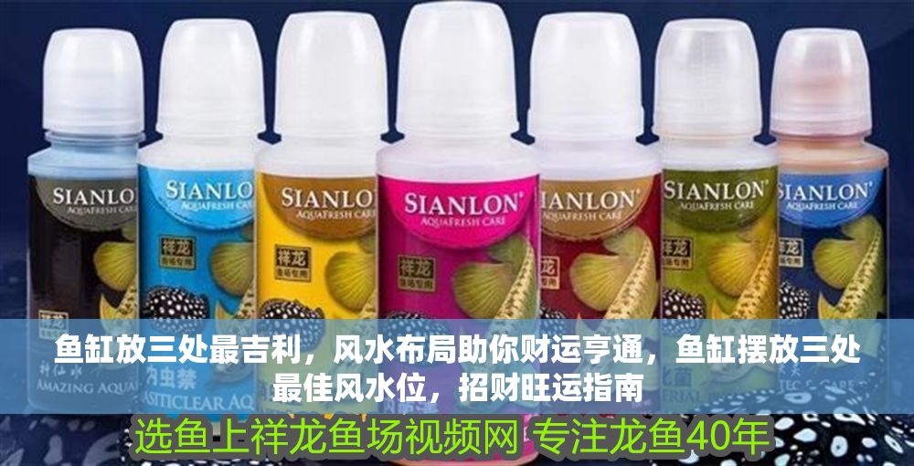 魚缸放三處最吉利，風(fēng)水布局助你財運亨通，魚缸擺放三處最佳風(fēng)水位，招財旺運指南