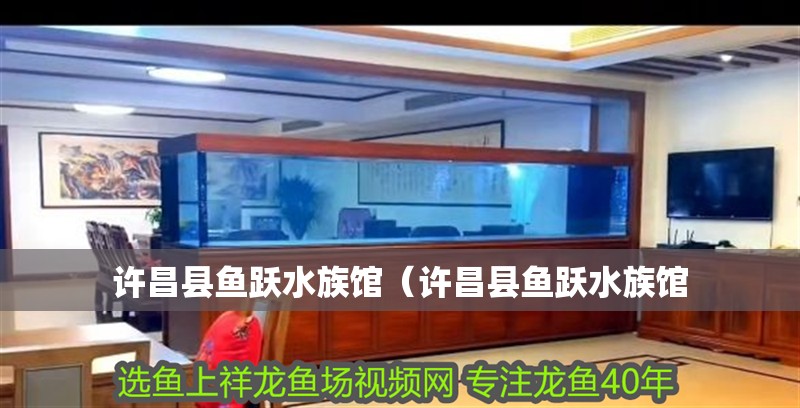 許昌縣魚躍水族館（許昌縣魚躍水族館