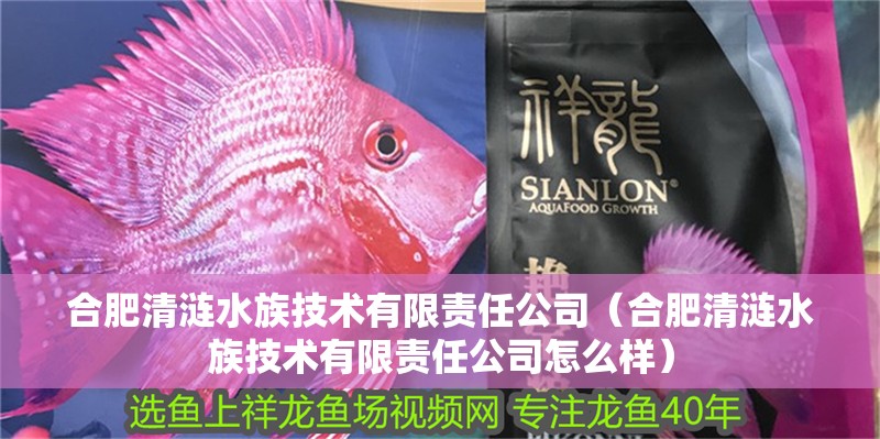 合肥清漣水族技術(shù)有限責(zé)任公司（合肥清漣水族技術(shù)有限責(zé)任公司怎么樣）