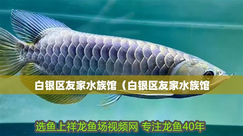 白銀區(qū)友家水族館（白銀區(qū)友家水族館