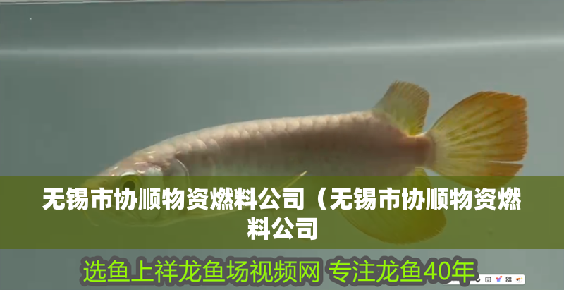 無錫市協順物資燃料公司（無錫市協順物資燃料公司