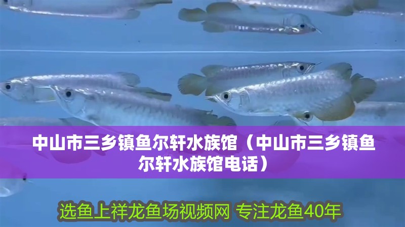 中山市三鄉(xiāng)鎮(zhèn)魚爾軒水族館(中山市三鄉(xiāng)鎮(zhèn)魚爾軒水族館電話) 全國水族館企業(yè)名錄 第2張 中山市三鄉(xiāng)鎮(zhèn)魚爾軒水族館(中山市三鄉(xiāng)鎮(zhèn)魚爾軒水族館電話) 中山市三鄉(xiāng)鎮(zhèn)魚爾軒水族館(中山市三鄉(xiāng)鎮(zhèn)魚爾軒水族館電話) 全國水族館企業(yè)名錄 第2張