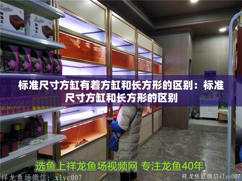 虎魚這種魚眼還有救嗎? 標準尺寸方缸有著方缸和長方形的區別:標準尺寸方缸和長方形的區別 魚缸百科 標準尺寸方缸有著方缸和長方形的區別:標準尺寸方缸和長方形的區別 標準尺寸方缸有著方缸和長方形的區別:標準尺寸方缸和長方形的區別 魚缸百科