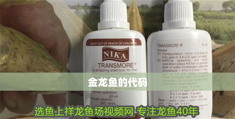 金龍魚的代碼 金龍魚的代碼 龍魚百科