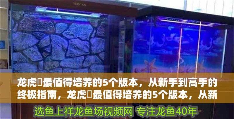 龍虎魟最值得培養的5個版本，從新手到高手的終極指南，龍虎魟最值得培養的5個版本，從新手到高手的終極指南