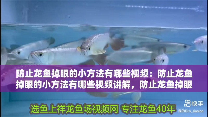 防止龍魚掉眼的小方法有哪些視頻：防止龍魚掉眼的小方法有哪些視頻講解，防止龍魚掉眼實(shí)用小方法視頻