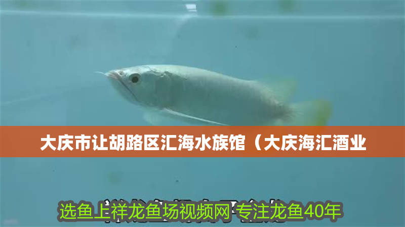 大慶市讓胡路區匯海水族館（大慶海匯酒業