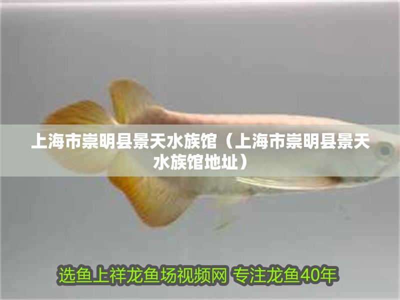 上海市崇明縣景天水族館（上海市崇明縣景天水族館地址）