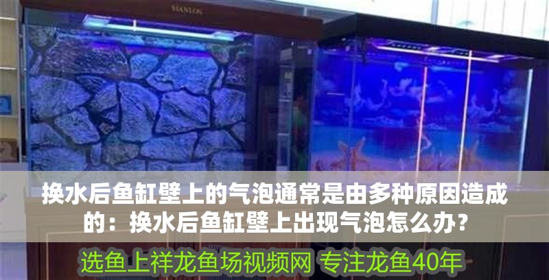 換水后魚缸壁上的氣泡通常是由多種原因造成的：換水后魚缸壁上出現氣泡怎么辦？