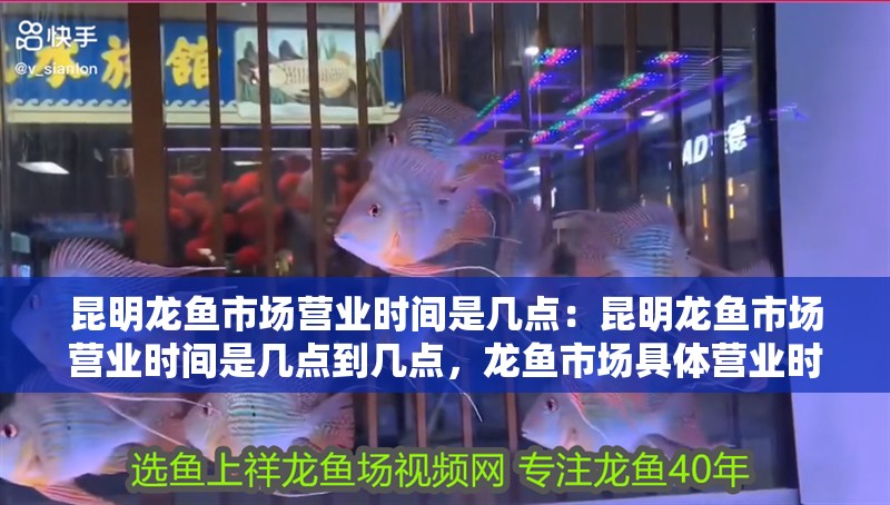 昆明龍魚(yú)市場(chǎng)營(yíng)業(yè)時(shí)間是幾點(diǎn):昆明龍魚(yú)市場(chǎng)營(yíng)業(yè)時(shí)間是幾點(diǎn)到幾點(diǎn),龍魚(yú)市場(chǎng)具體營(yíng)業(yè)時(shí)間(幾點(diǎn)至 水族問(wèn)答 昆明龍魚(yú)市場(chǎng)營(yíng)業(yè)時(shí)間是幾點(diǎn):昆明龍魚(yú)市場(chǎng)營(yíng)業(yè)時(shí)間是幾點(diǎn)到幾點(diǎn),龍魚(yú)市場(chǎng)具體營(yíng)業(yè)時(shí)間(幾點(diǎn)至 昆明龍魚(yú)市場(chǎng)營(yíng)業(yè)時(shí)間是幾點(diǎn):昆明龍魚(yú)市場(chǎng)營(yíng)業(yè)時(shí)間是幾點(diǎn)到幾點(diǎn),龍魚(yú)市場(chǎng)具體營(yíng)業(yè)時(shí)間(幾點(diǎn)至 水族問(wèn)答