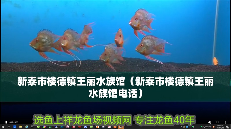 新泰市樓德鎮王麗水族館（新泰市樓德鎮王麗水族館電話）