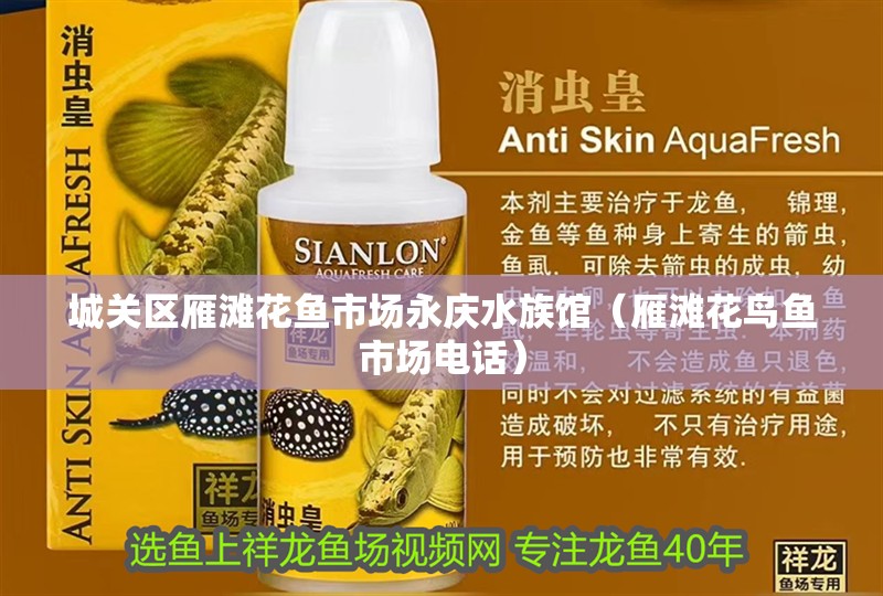 城關(guān)區(qū)雁灘花魚市場(chǎng)永慶水族館（雁灘花鳥魚市場(chǎng)電話）